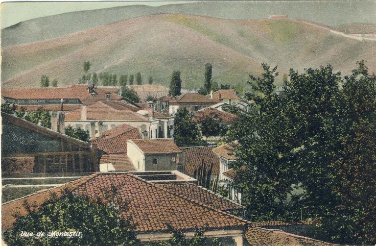 Дел од градот гледан кон југ