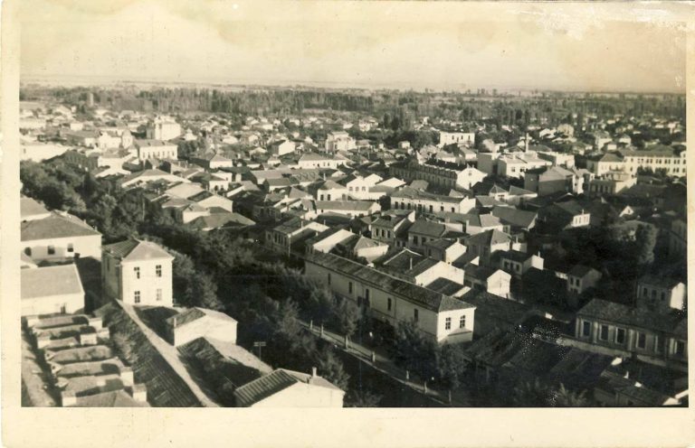 Панорама на градот кон исток, направена од минарето на Исак џамија. Покрај реката Драгор видлив е и покривот на Безистенот, на сликата лево долу.