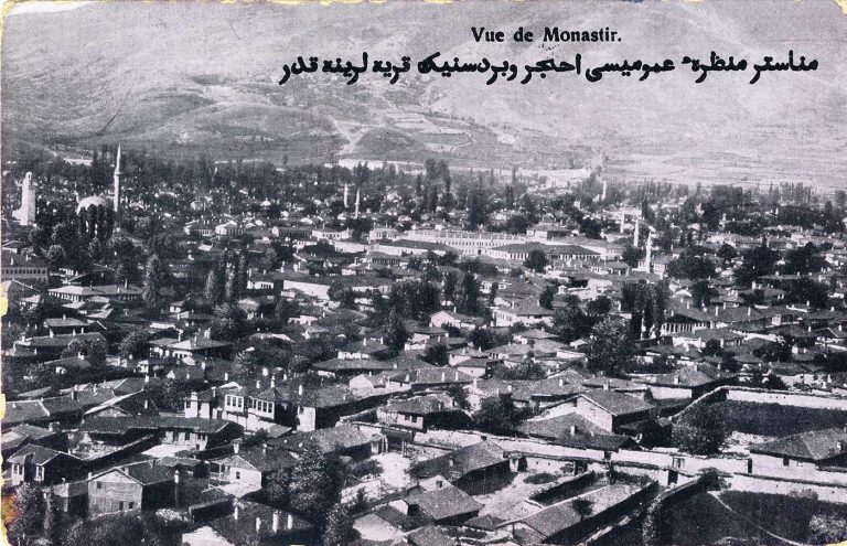 Панорама на градот кон југозапад. На левата страна се гледа Саат кулата и Исак џамија до неа, и Општинската зграда –хуќумат десно во средината на сликата.