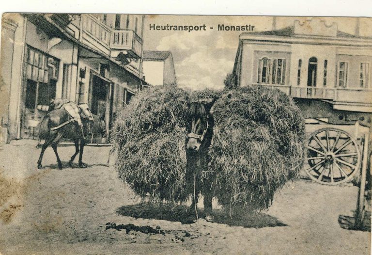 Дел од Битола на разгледница издадена под наслов Светска војна 1914/16 од K.J.R 452/B